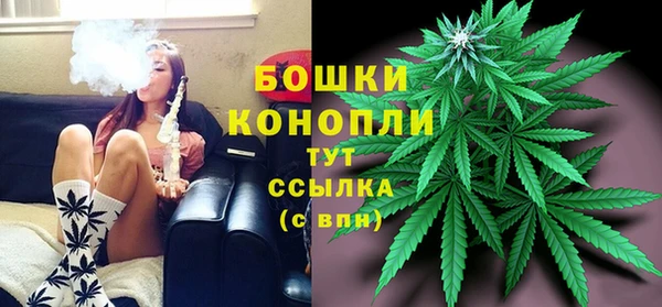 твердый Осинники