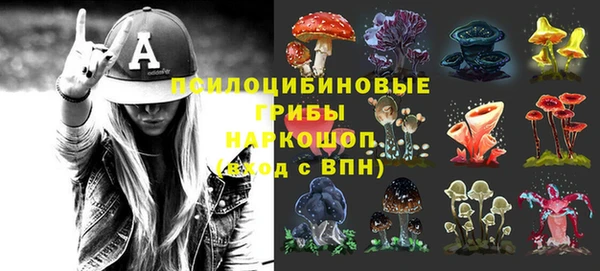 твердый Алзамай